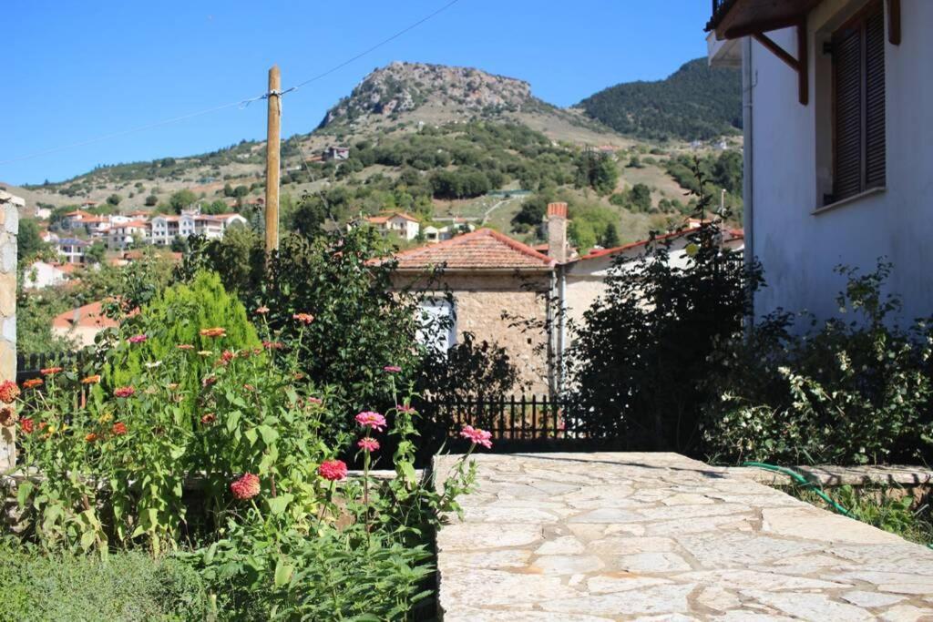Velia Guesthouse Kalavryta Exterior photo